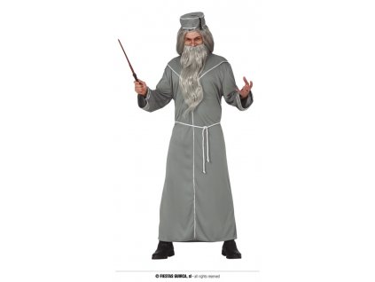 Mistr magie Gandalf kouzelník Harry Potter