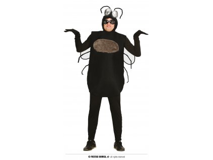 Moucha pánský kostým