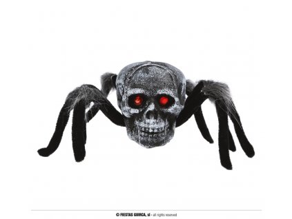 Pavouk s lebkou 34 cm