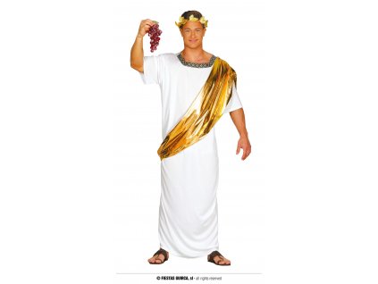 Caesar pánský kostým
