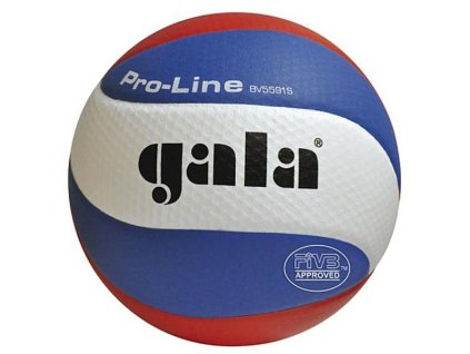 Míč volejbal PRO-LINE GALA PROFI 5591S