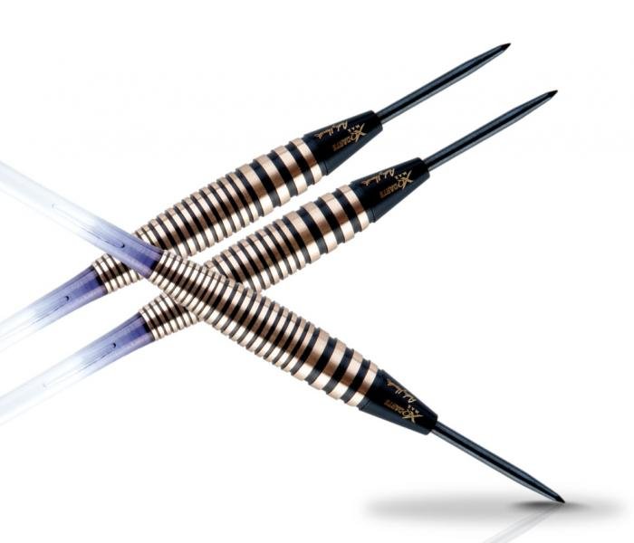 Šipky XQ MAX Andy Hamilton - 21g varianta: 21 g