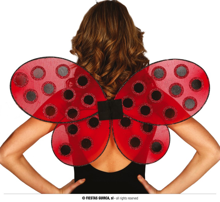 Guirca Křídla beruška 52x43 cm