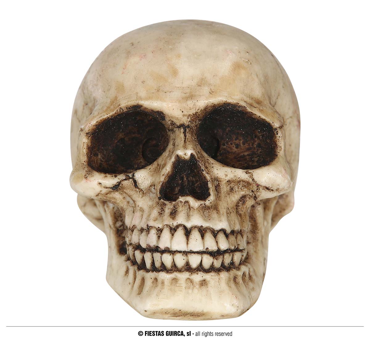 Guirca Lebka z pryskyřice 8 cm