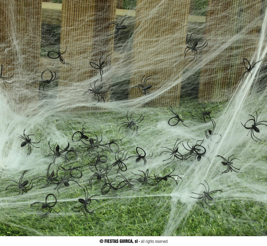 Guirca Balíček 50 pavouků