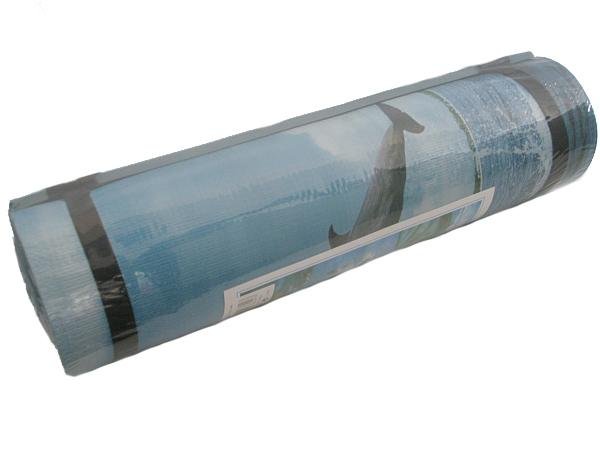 Ostatní Karimatka jednovrstvá RICHMORAL velikost 180 x 50 x 0,8 cm varianta: modrá