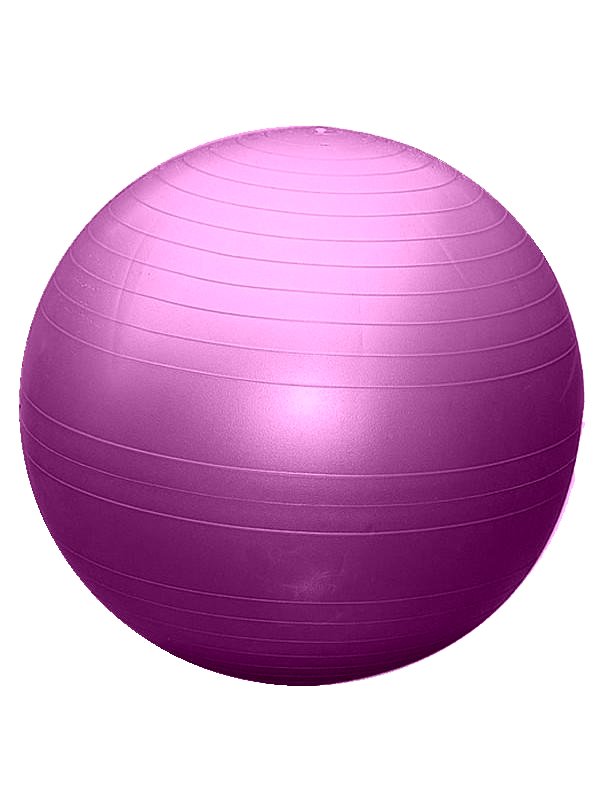 Ostatní Gymnastický míč 75cm EXTRA FITBALL stříbrná varianta: fialová