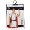 Men's Roman Costume - Tunic, Cape, and Gold Accessories