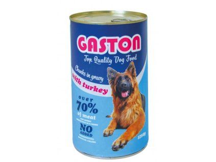gaston with turkey