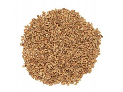 Psenica 10 kg