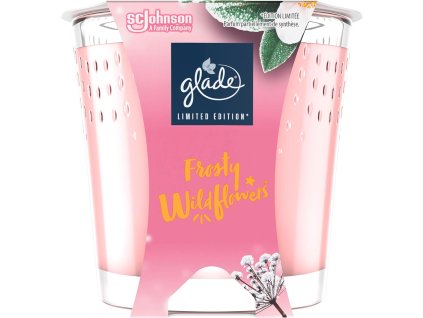 718Jv6bM1nL. AC SL1500