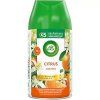 Air Wick Freshmatic Max Spray Base Frag náplne s vôňou citrusov 250 ml