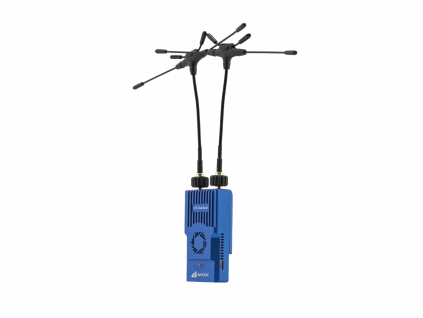 TX Module BAYCK Dual band Nano Gemini TX868/2.4G