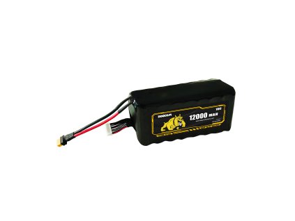 Battery DOGCOM 21700 Li-ion 12000mAh 6S3P 22.2V 10C
