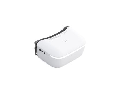Goggles L 1