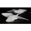 12153 4 propellers emax avan micro clear
