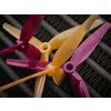 Eliche HQProp Ethix P3 3-Blade 5.1" PB&J (2CW+2CCW)