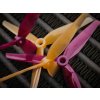 Propellers  HQProp Ethix P3 3-Blade 5.1" PB&J (2CW+2CCW)