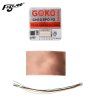 Módulo GPS FLYWOO GOKU GM10 Pro V3 Compass