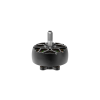 Moteur iFlight XING2 2809 Black 1250KV (sans logo)