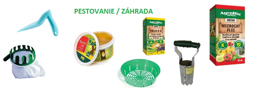Záhrada