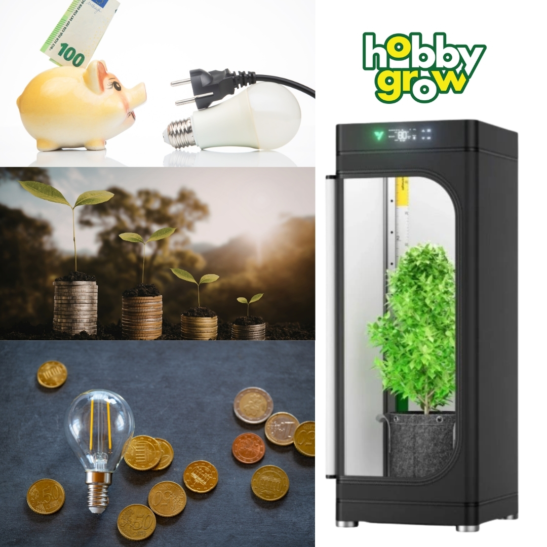 Kolik stojí provoz growboxu? Přehled spotřeby elektřiny