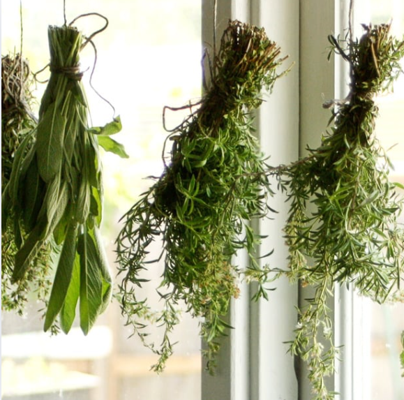 Od bylinek po ovoce: objevte kouzlo domácího sušení