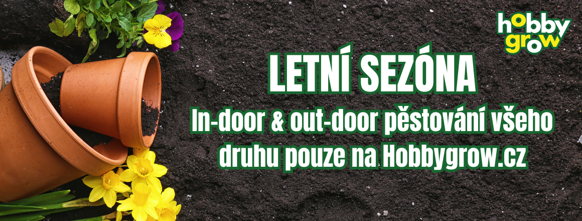 letní sezona