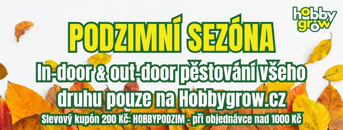 Podzimní sezóna