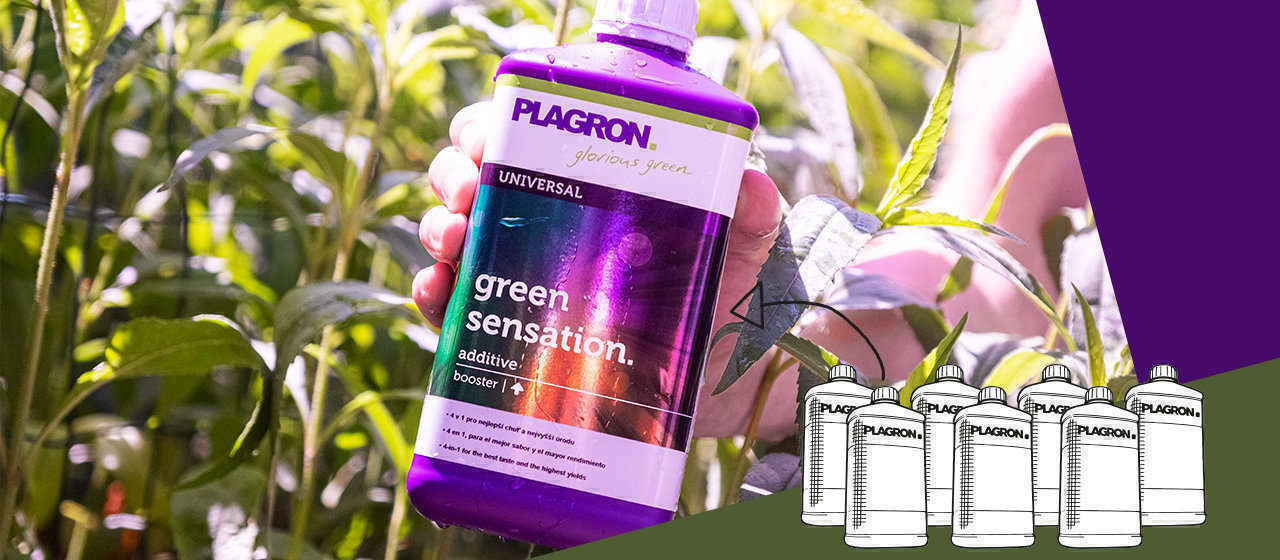 Plagron Green Sensation 5l - Květový stimulátor - HobbyGrow.cz