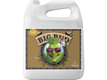 Květový stimulátor pro kokosové substráty Big Bud Coco Liquid od Advanced Nutrients, 4l