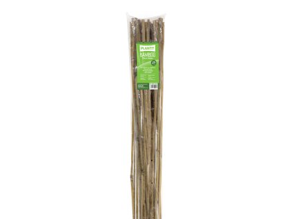 18482 plant t bambusove tycky 90 cm baleni 25ks