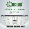 Pěstební LED osvětlení o výkonu 600W. 6 LED od Lucius.