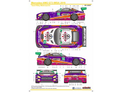 AMG GT IMSA 19 Team Riley Motorsports Instruction