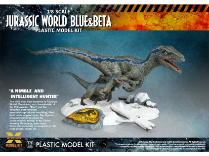 Blue Beta PO asset 1 EN