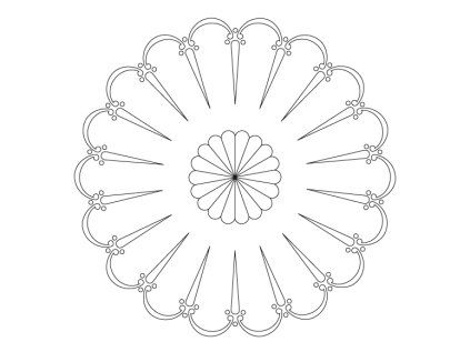 CRCS 801 01 web