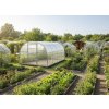 Skleník LANITPLAST GLADUS 3x4 m PC 6 mm LG2885
