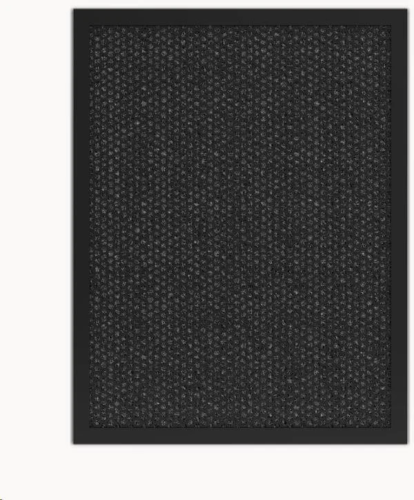 Tesla Smart Teslá Smart Air Purifier Pro L Carbon Filter TSL-AC-3006CARBON-ACC