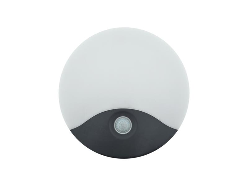 Svietidlo nástenné PIR QTEC Q-19AD