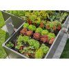 gardena 13455 20 mds startovni set pro zahon 35 rostlin image1 big ies88838191