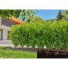 gardena 13501 20 mds startovni set pro zive ploty kere 50 m image1 big ies88835923