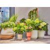 gardena 13400 20 mds startovni set pro terasy 30 rostlin image1 big ies88989151