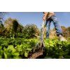 gardena pureline kultivator image1 big ies97321341
