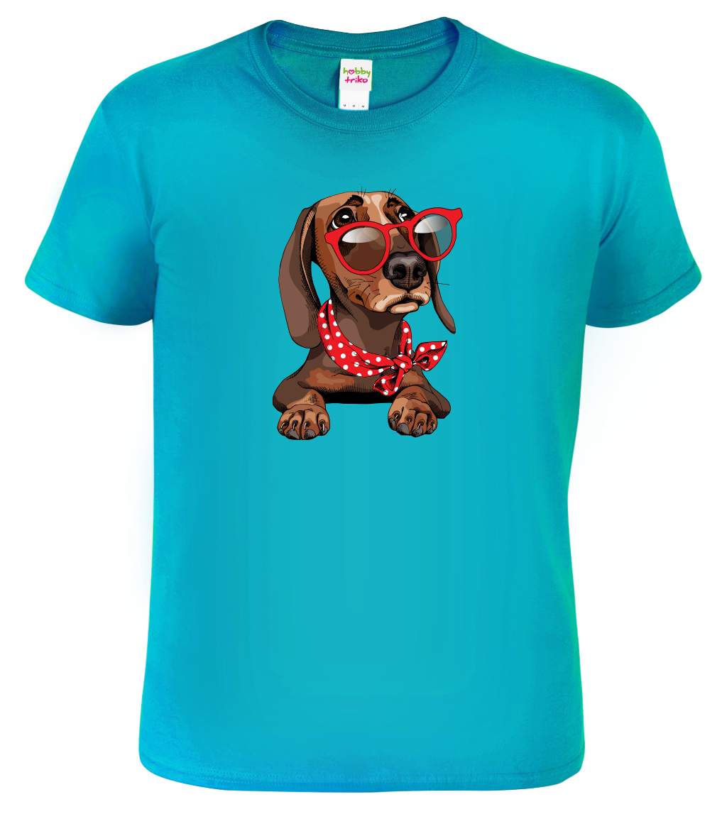 Pánské tričko s jezevčíkem - Jezevčík v brýlích Velikost: 3XL, Barva: Tyrkysová (44)