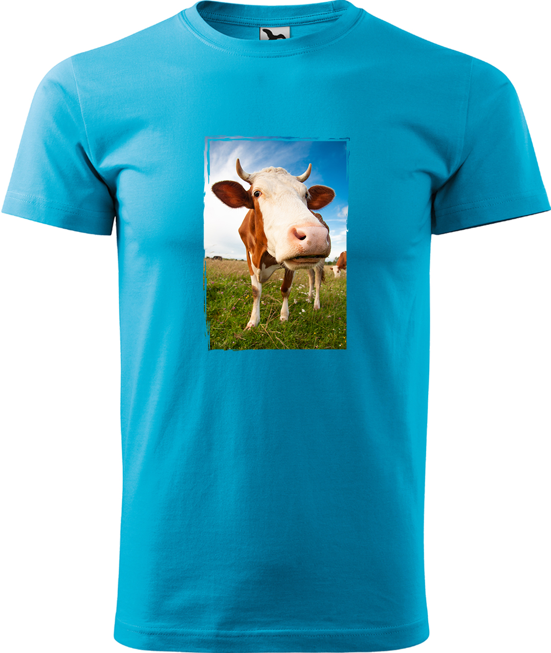 Pánské tričko s krávou - Na pastvě Velikost: XL, Barva: Tyrkysová (44), Střih: pánský