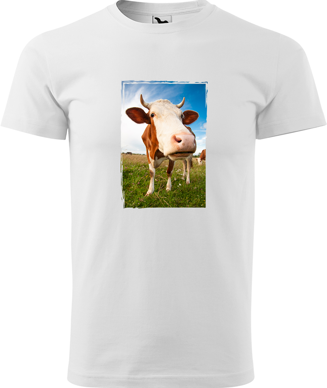 Pánské tričko s krávou - Na pastvě Velikost: 3XL, Barva: Bílá (00), Střih: pánský