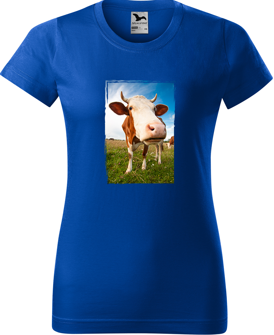 Dámské tričko s krávou - Na pastvě Velikost: S, Barva: Královská modrá (05), Střih: dámský