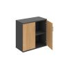 Hobis Strong S 2 80 01 dub grafit USH
