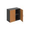 Hobis Drive D 2 80 01 olše grafit USH