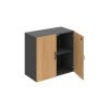 Hobis Drive DZ 2 80 01 dub grafit UCO